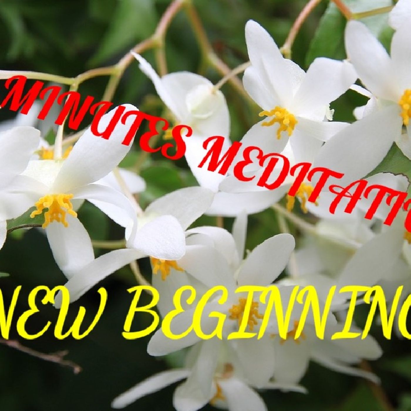 Healing The Mind And Body