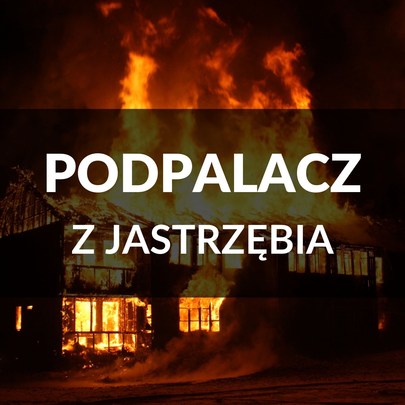 Zagłębie Młodych