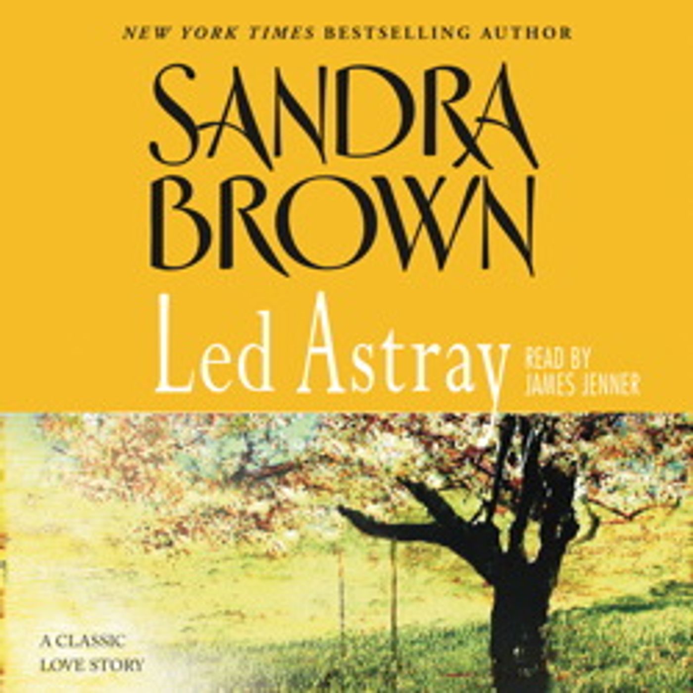 Stream Popular Full Audiobooks in Romance, Modern