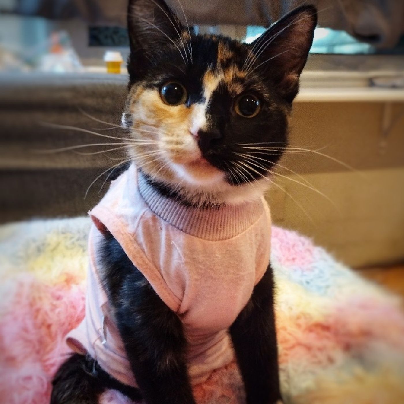 23. "We're not mean... mostly"