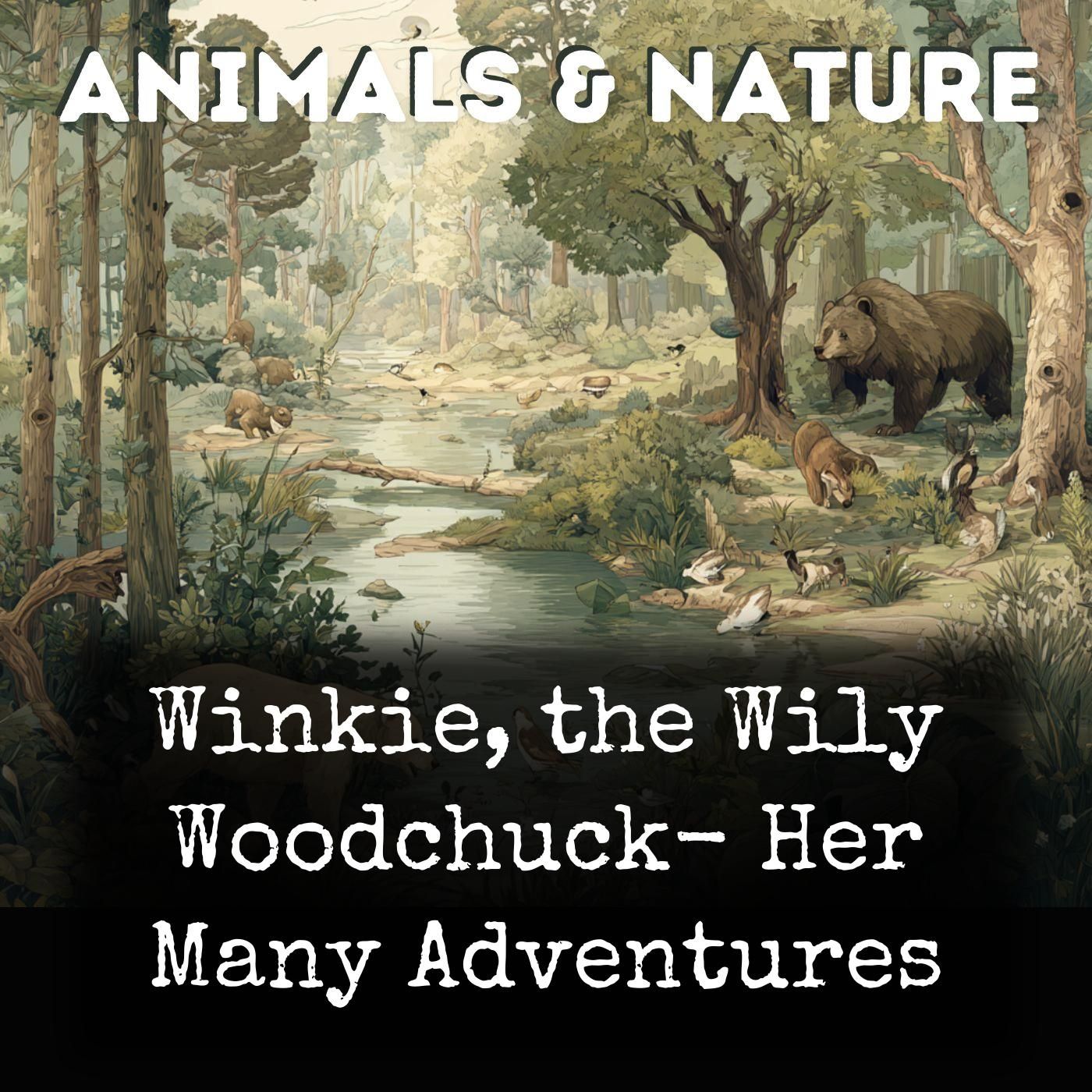 Winkie, the Wily Woodchuck-  Her Many Adventures cover art