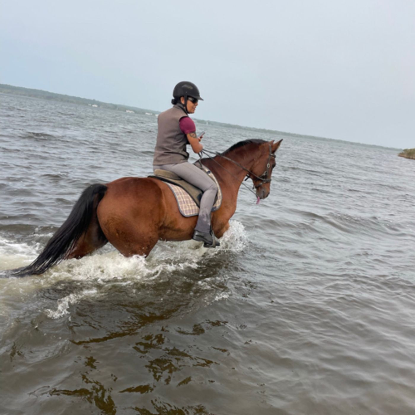 Equine Emotions and Dressage for hooves