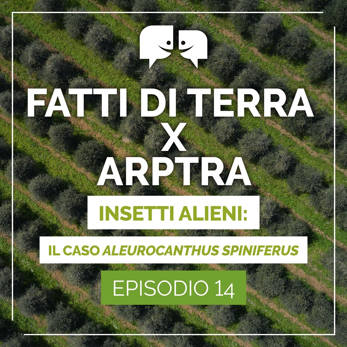 Fatti di terra