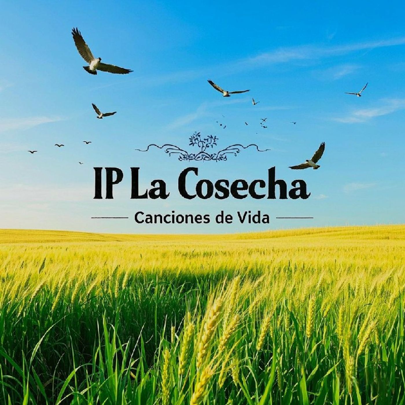 Iglesia Pentecostal La Cosecha