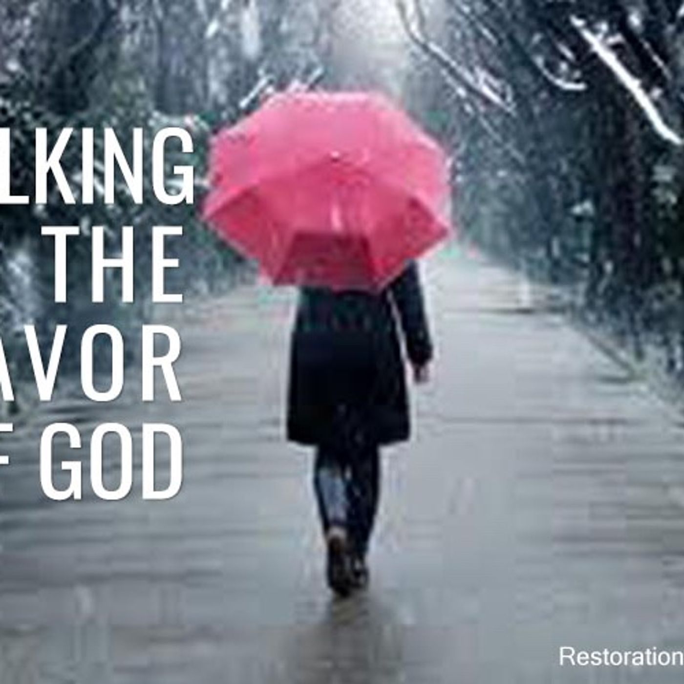 YAHWEH BEN YAHWEH HAS MANY MIRACLES READY FOR THE FAITHFUL!(THE HUMBLE AND FAITHFUL WILL RISE!TIPS N HINTS TO WALK IN YAHWEHS FAVORS!) episode artwork