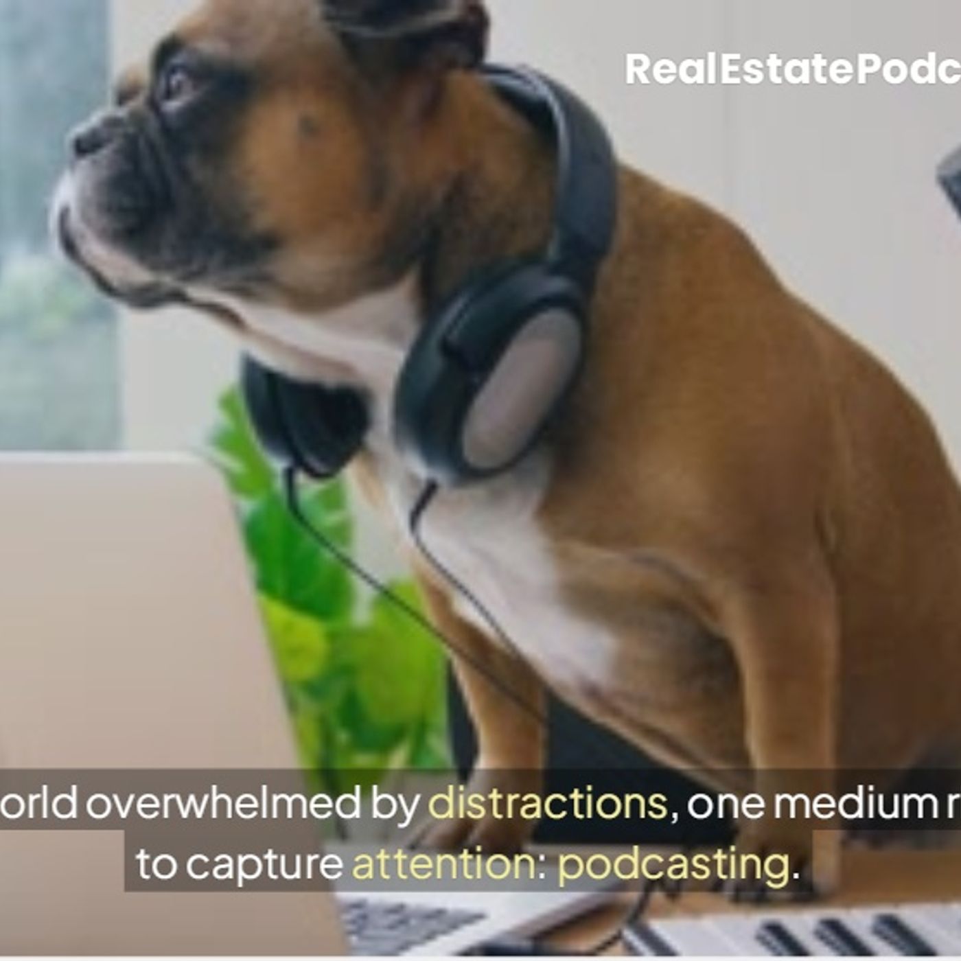 The Podcasting Revolution: Captivating an Audience in a Distracted World episode artwork