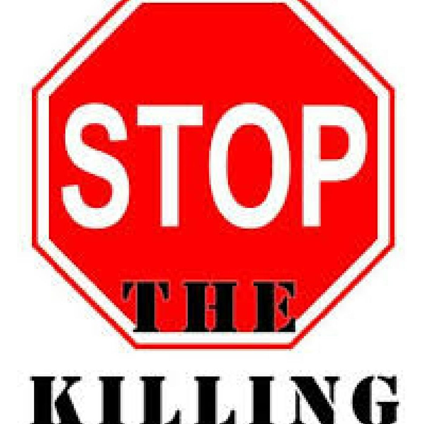 STOP THE KILLING & PUT THE GUNS DOWN episode artwork