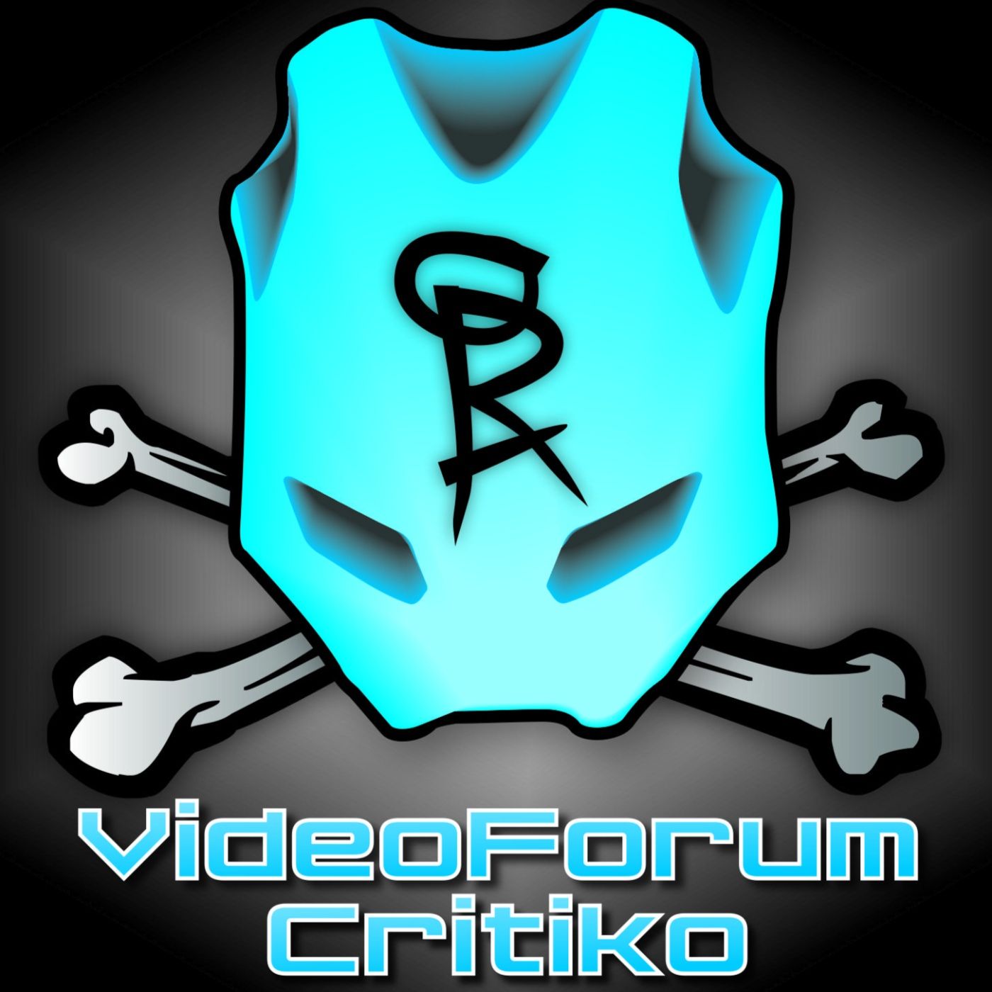 El videoforum