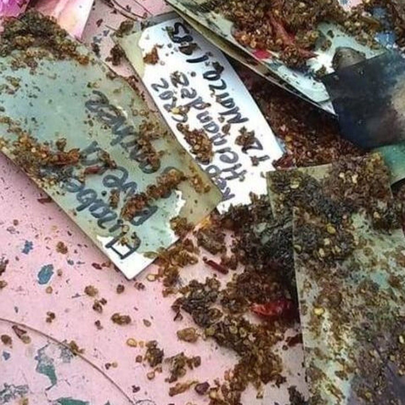Historias de Miedo Septiembre 18 TRABAJARON AL ESPOSO