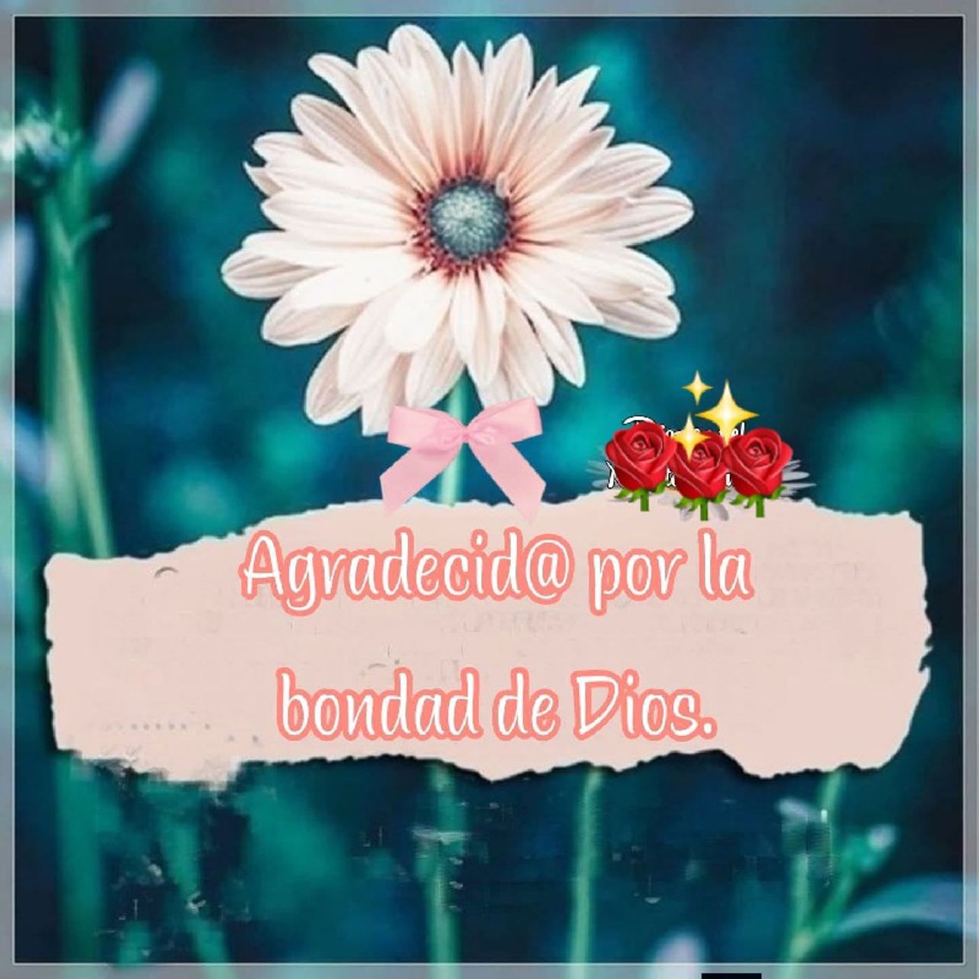 Episodio 318 - Orar Contigo Otra Vez episode artwork