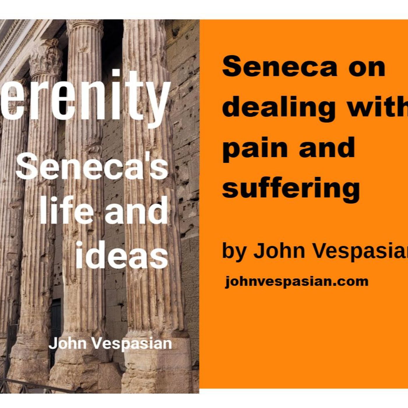 Seneca on dealing with pain and suffering episode artwork