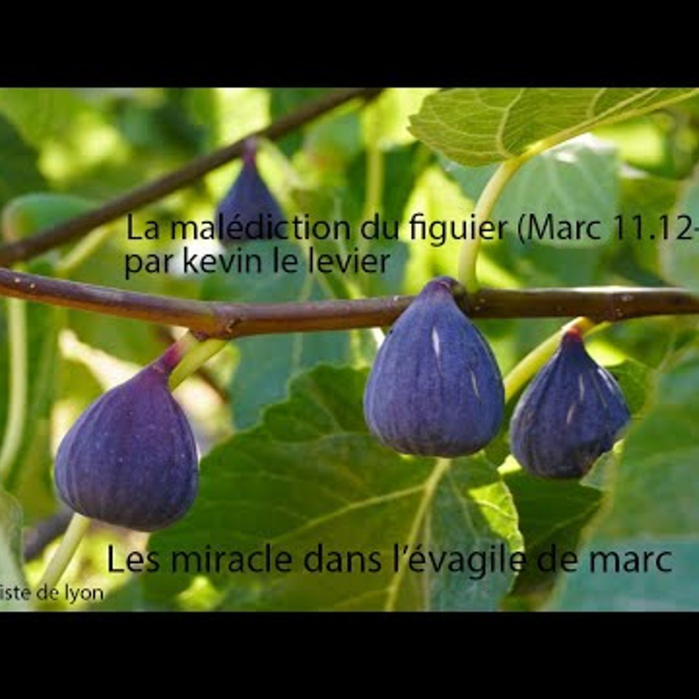 Eglise Baptiste de Lyon - La malédiction du figuier (Marc 11.12-25)