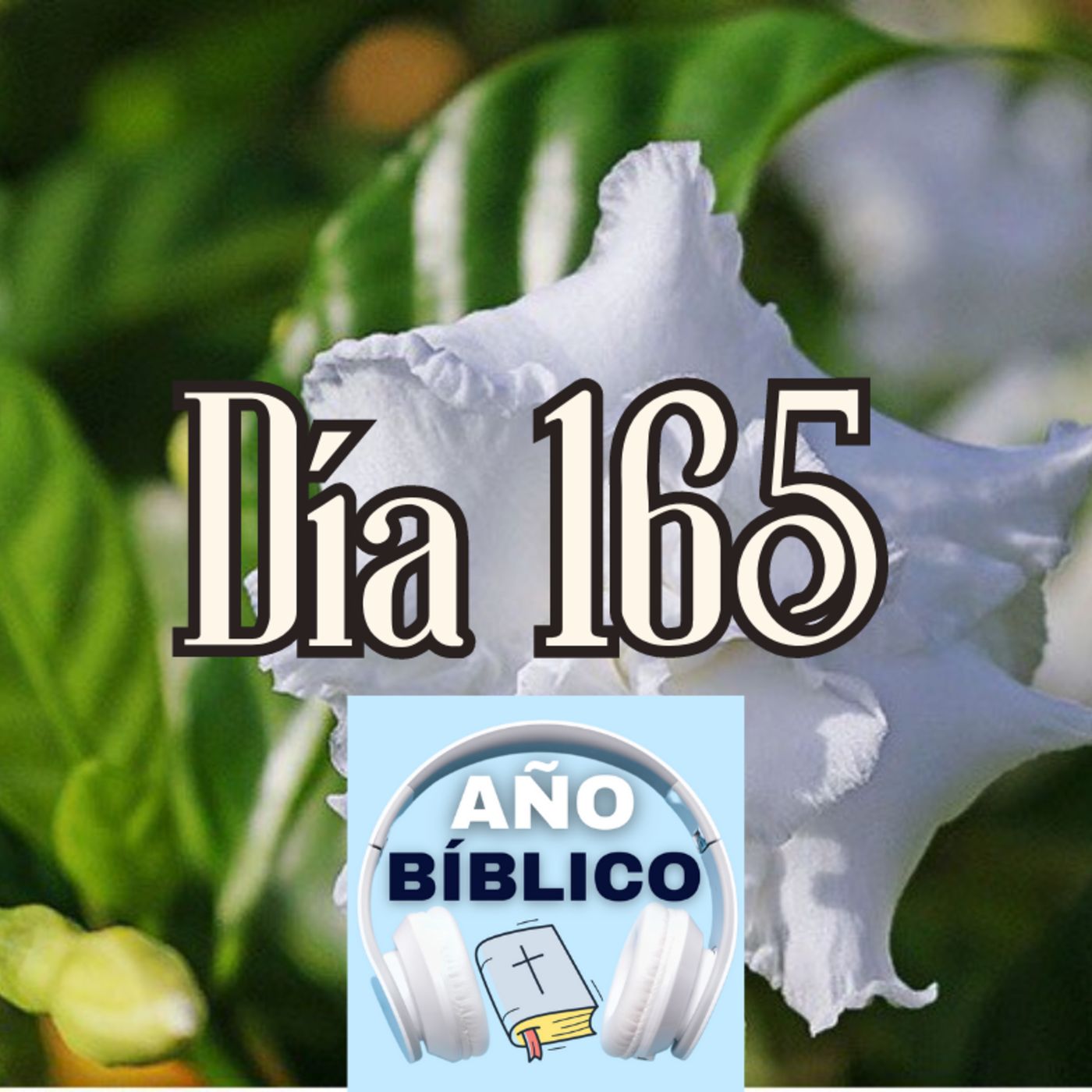 Día 165 - Salmos 72:1-5, 2 Reyes 10:18-36; 2 Reyes 11-12 y Hechos 26:1-11 episode artwork