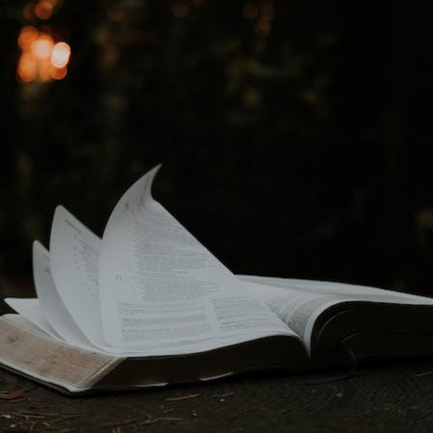 How Do We Discern False Teachers?