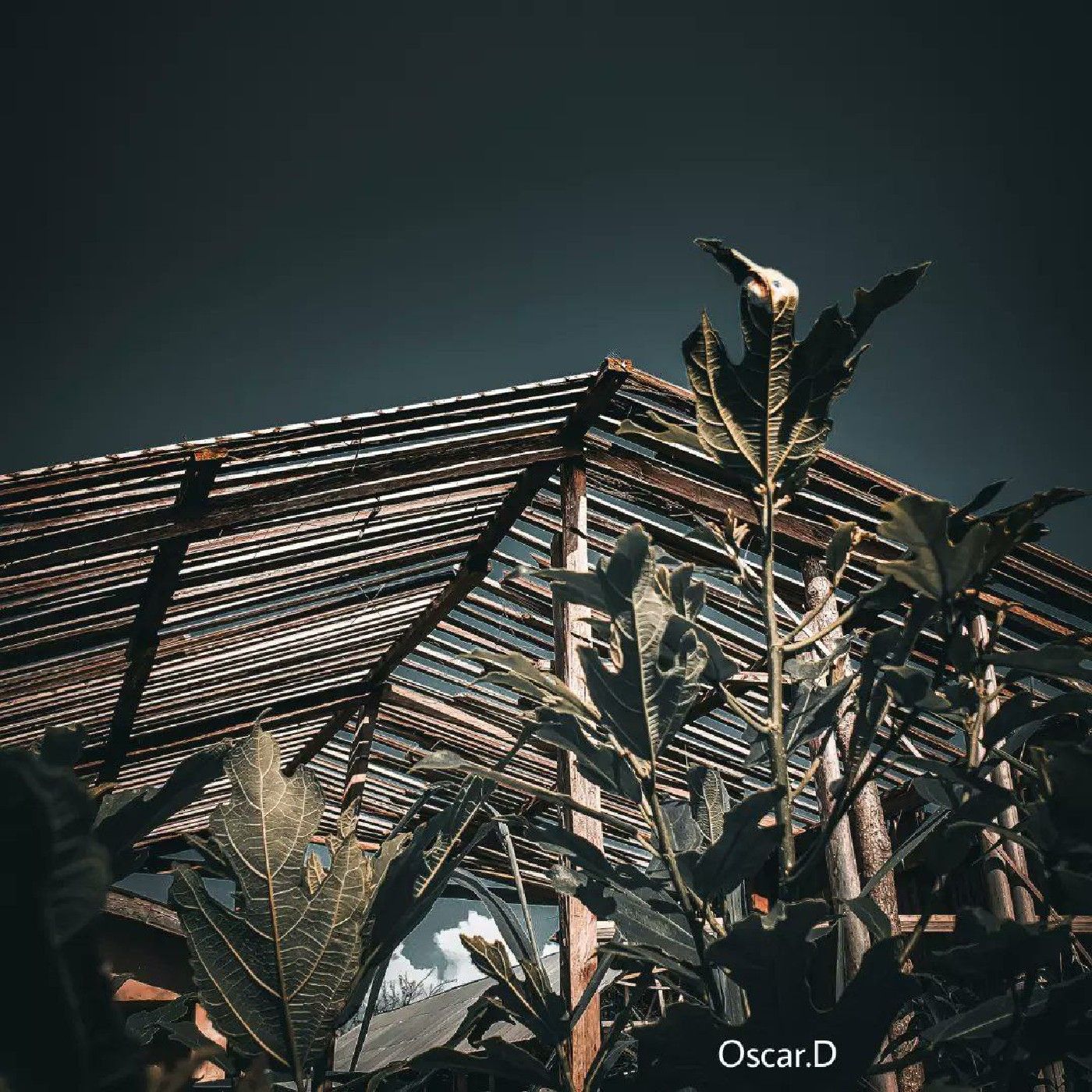 BoAd brother's cover art