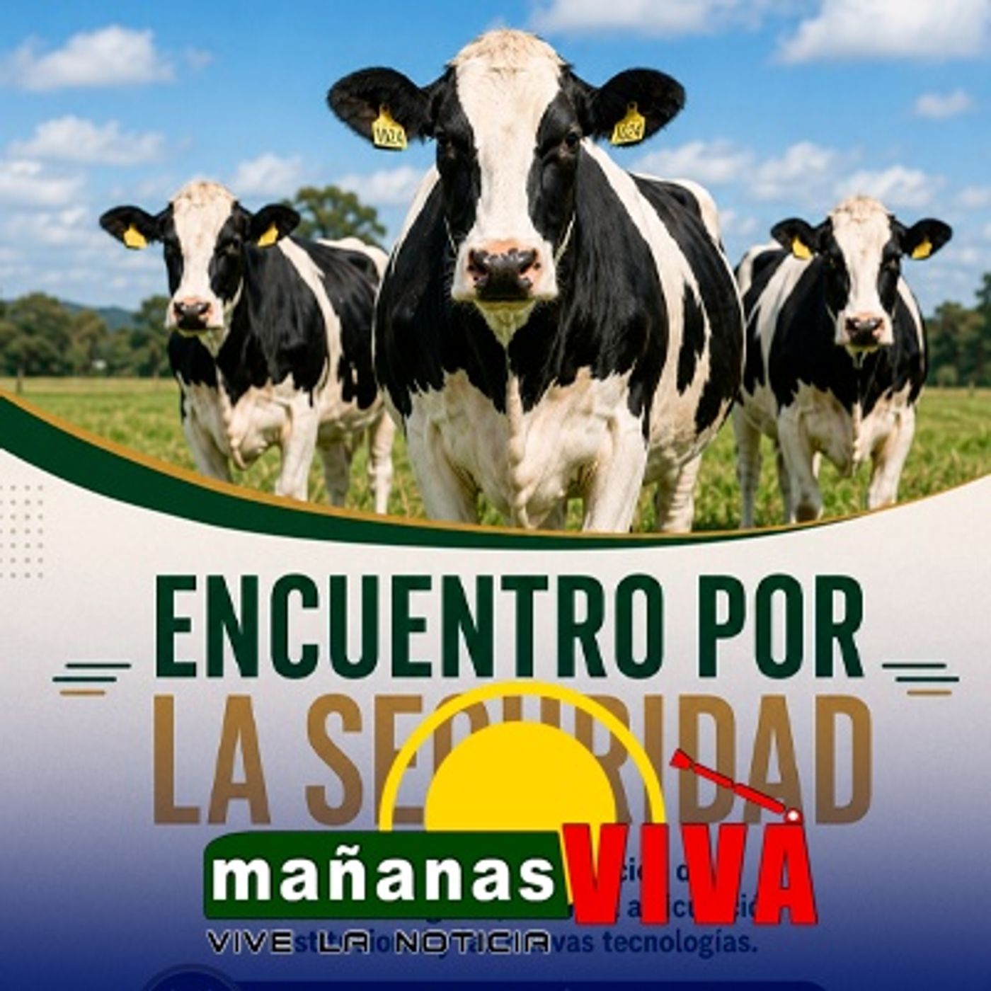 Invitan a encuentro por la seguridad ganadera en Nariño episode artwork