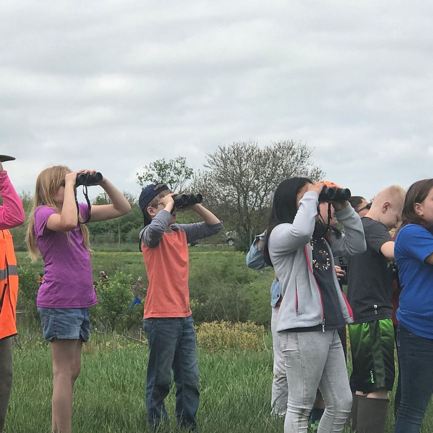 U of I Extension to hold birdwatching hike July 25 in Hennepin episode artwork