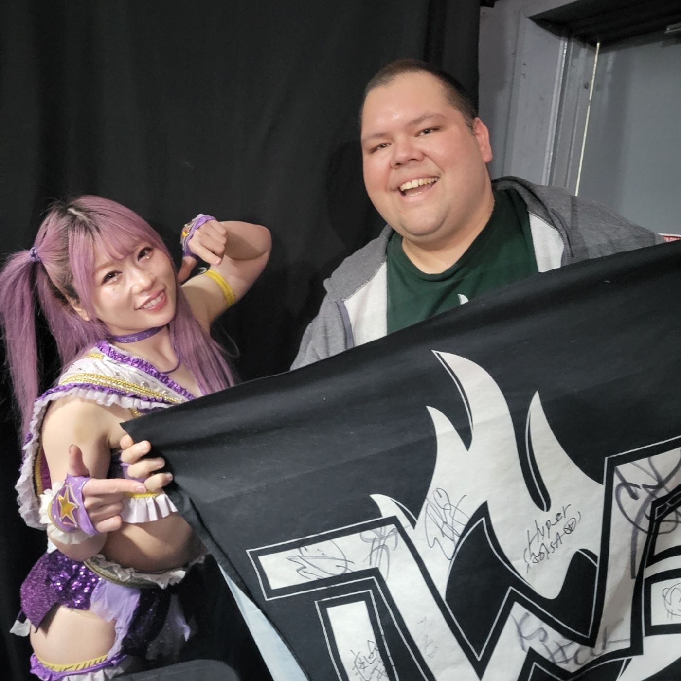 The Wrestling Enthusiast Podcast