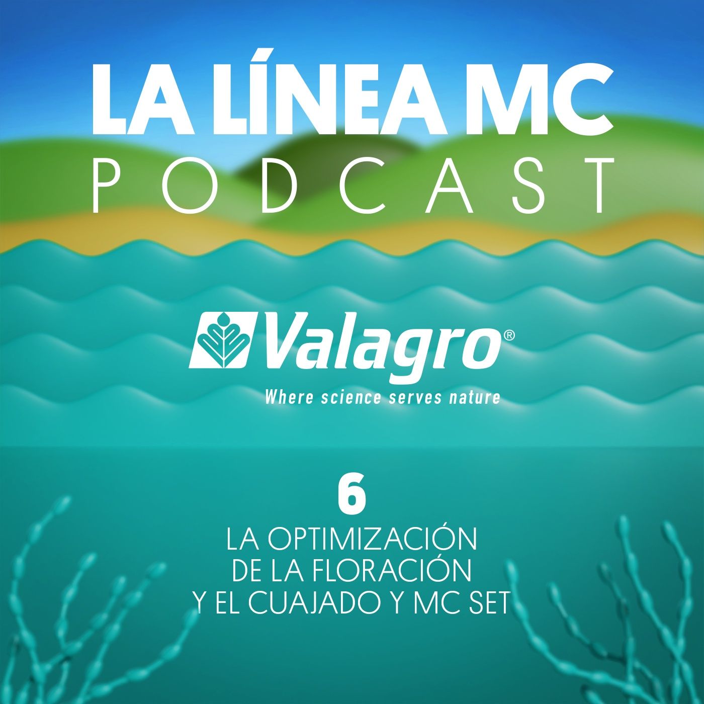 06. La optimización de la floración y el cuajado y MC SET