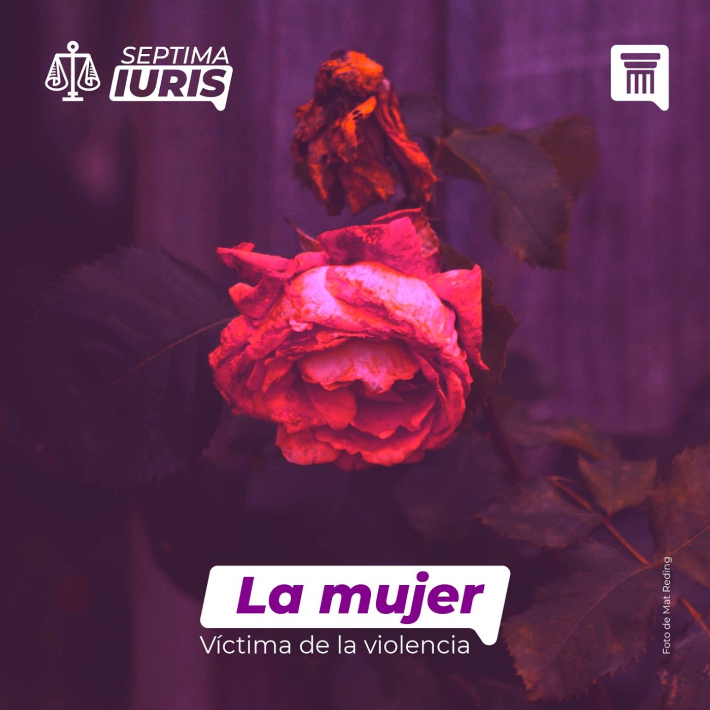 SEPTIMA IURIS-Informativo Jurídico