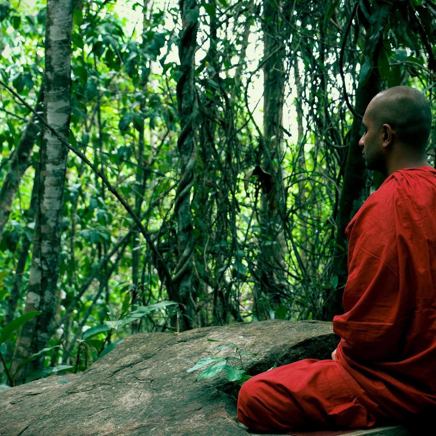 Meditazione