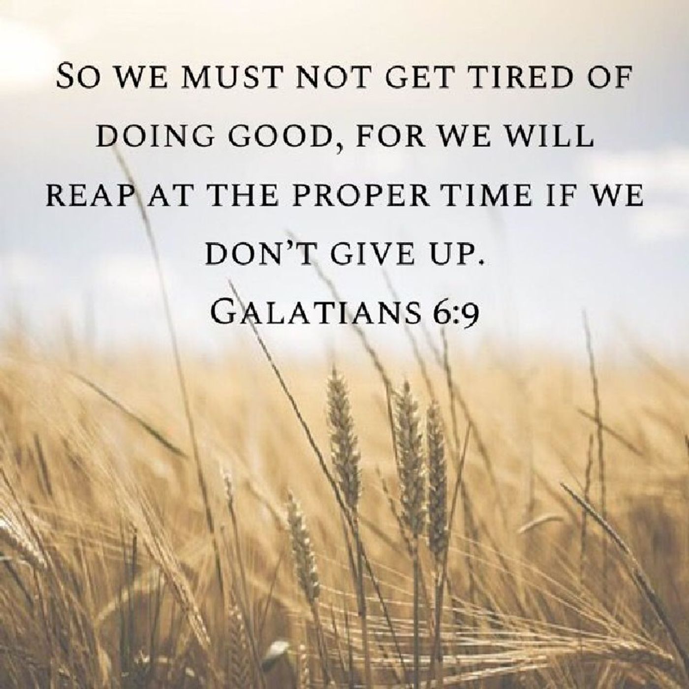 Morning Manna