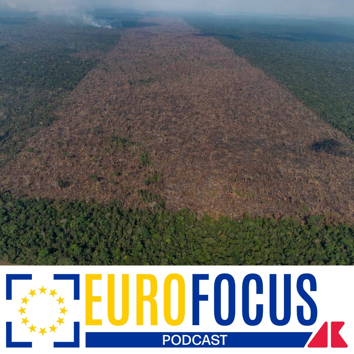 Deforestazione, l'Europa cambia strada e la sinistra protesta episode artwork