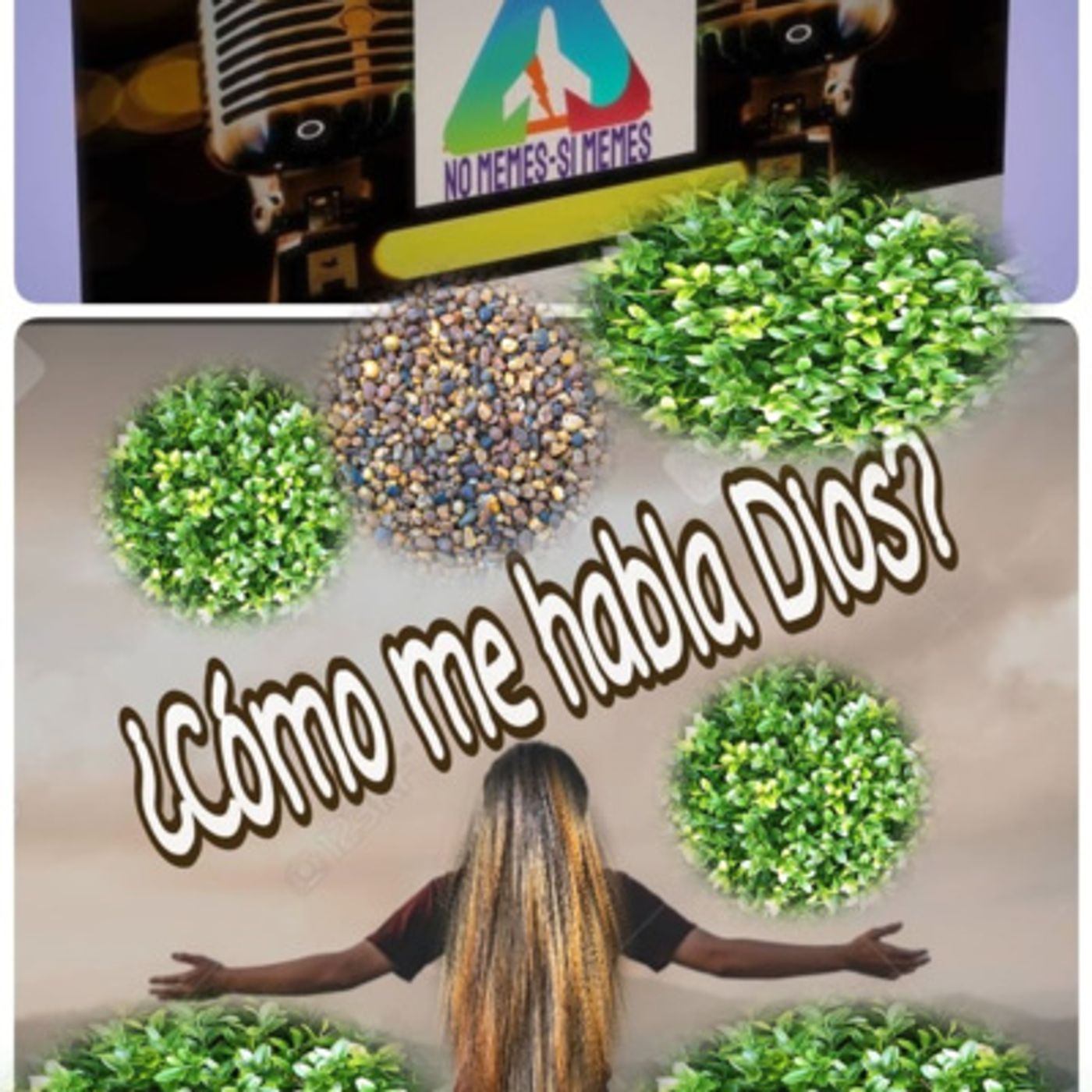 No Memes - Si Memes