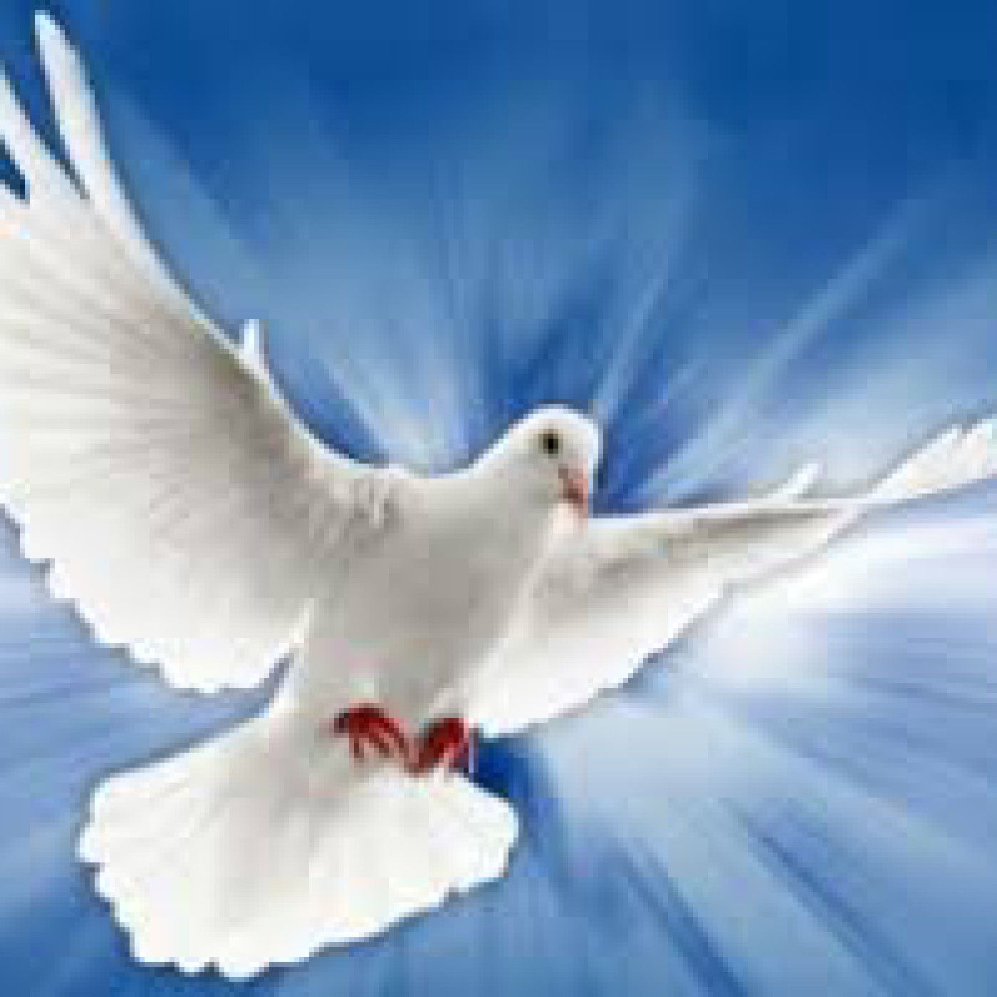 CRESCENDO NA PALAVRA