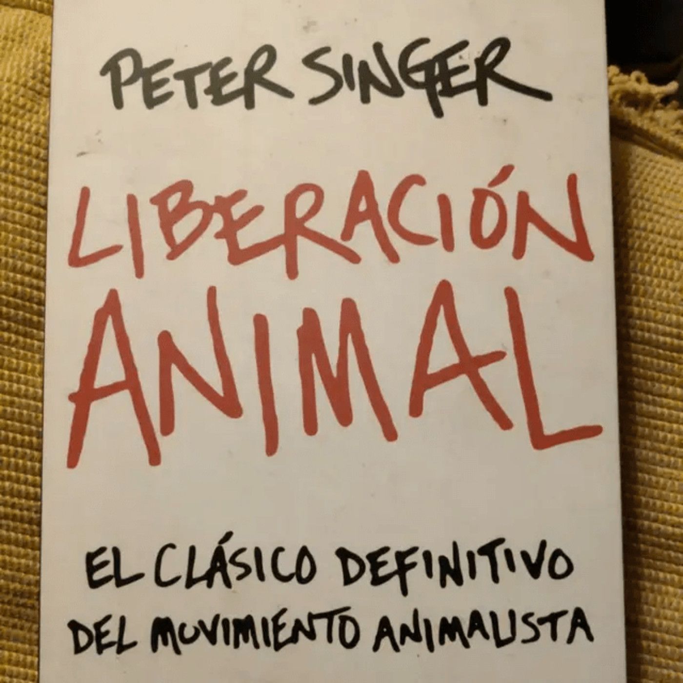 El Lado B del Conocimiento