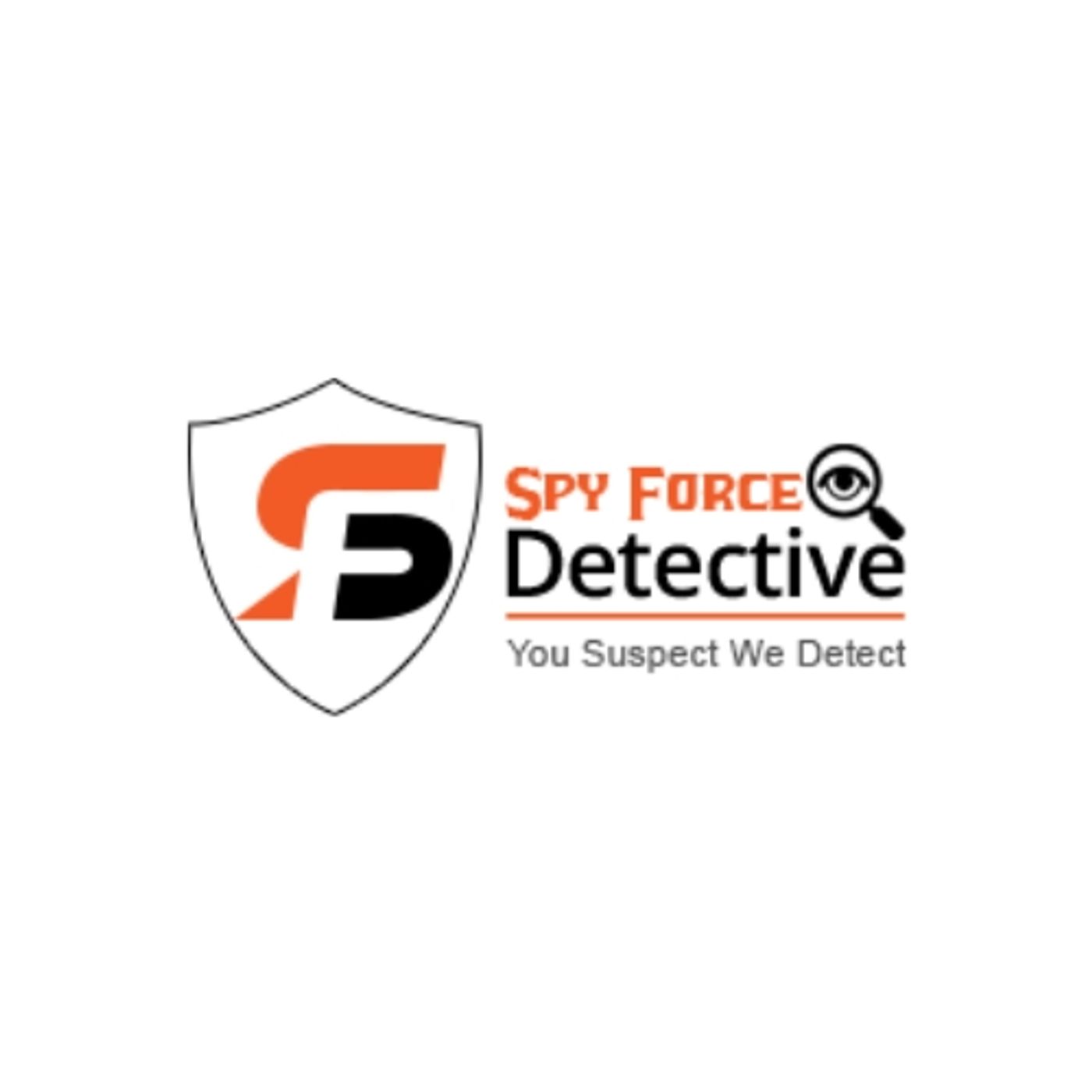 Private detective in Chandigarh