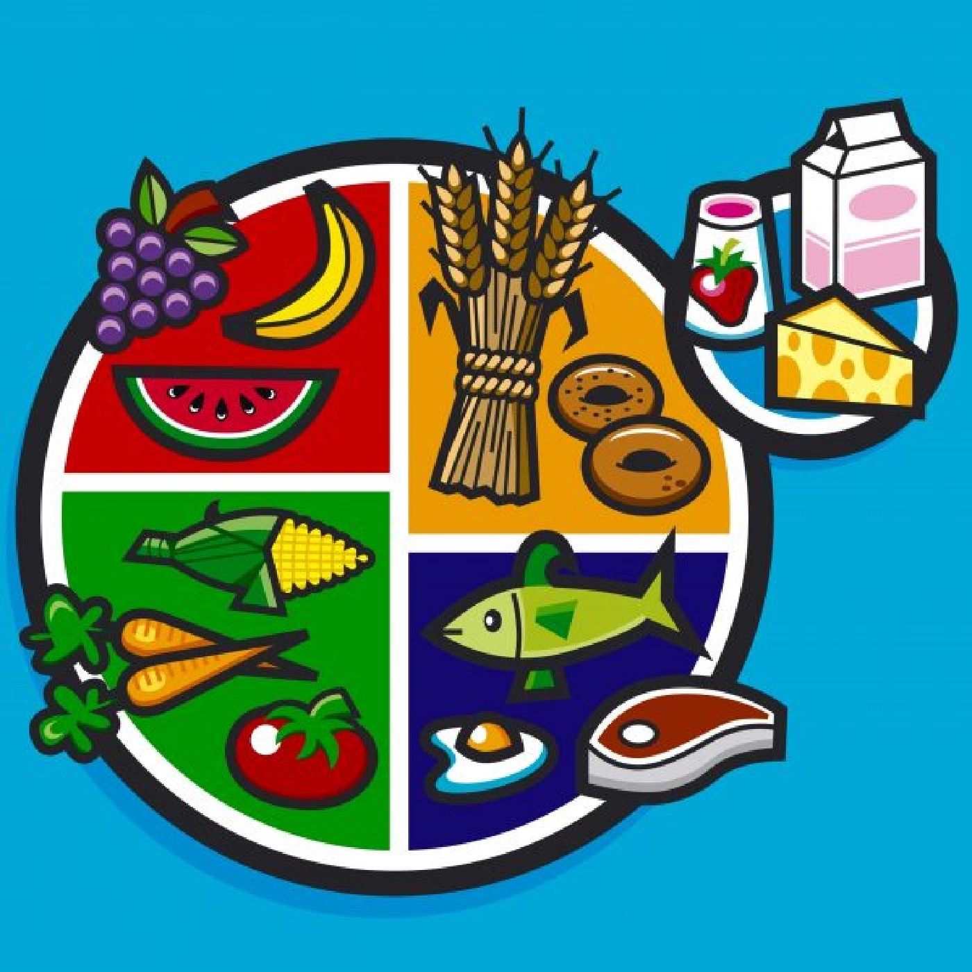 Alimentación balanceada 🥬🥕