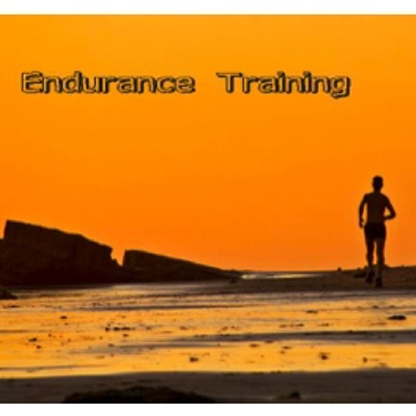Endurance Training 7/13,20,27-8/3,7/14 cover art