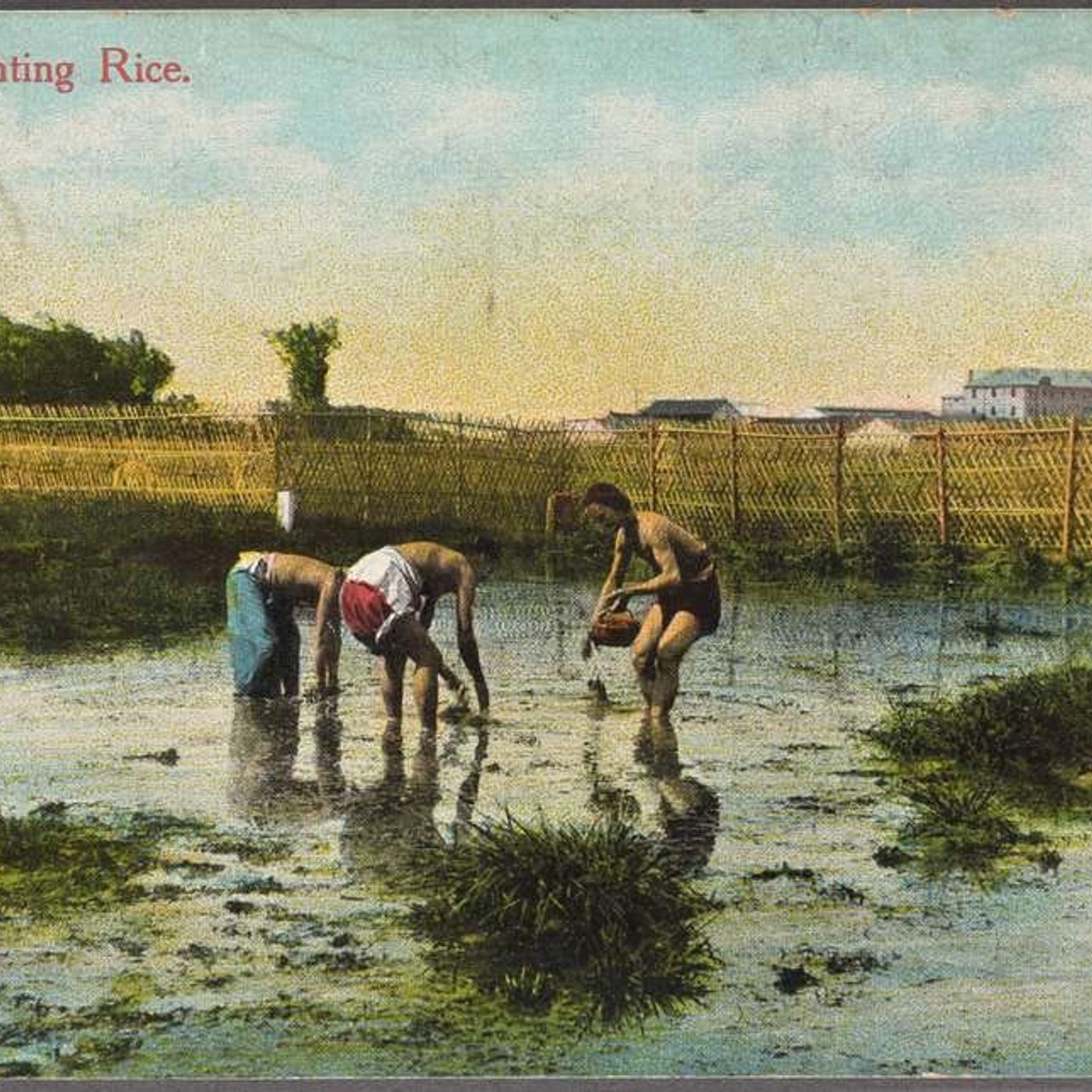 Gli articoli di Krisis.info