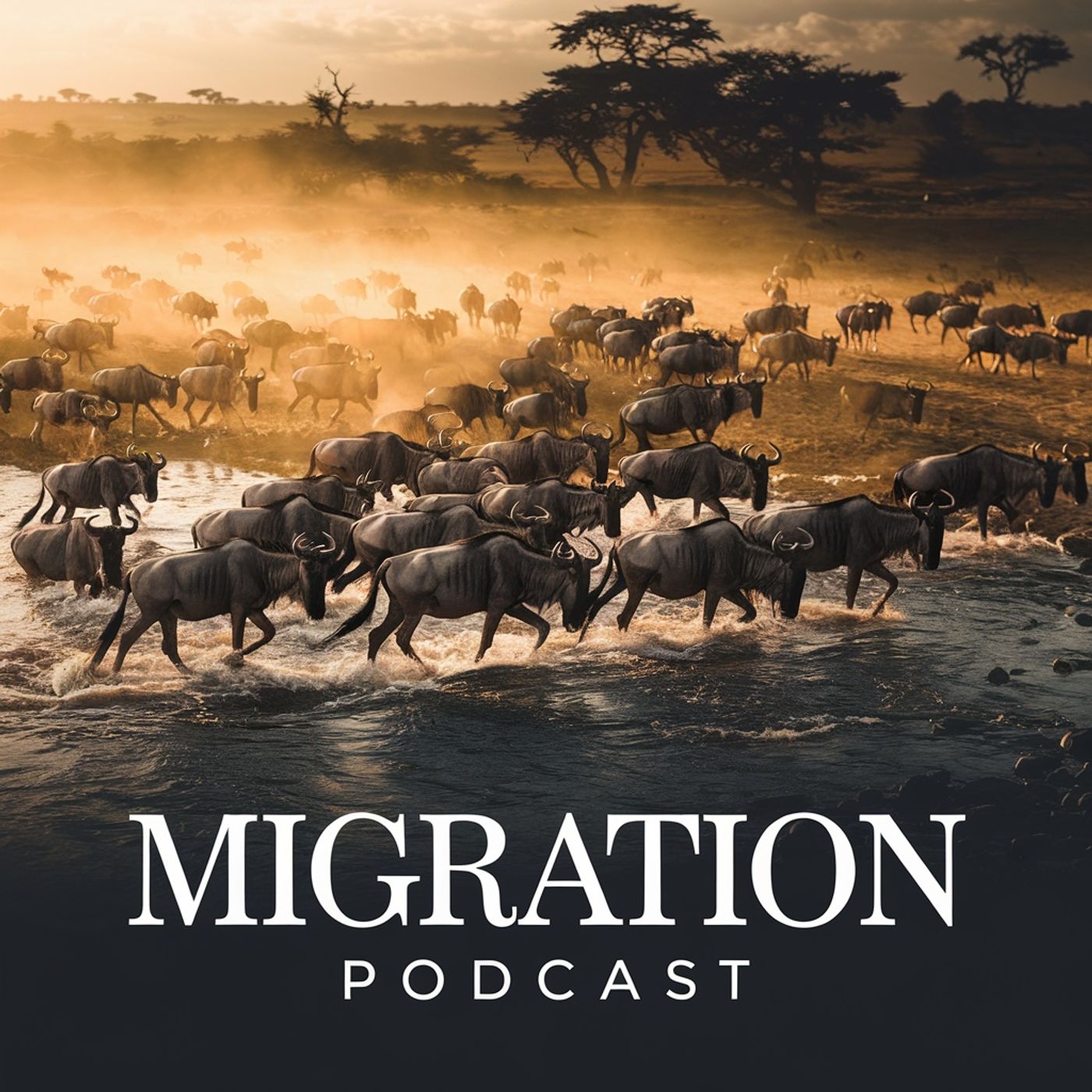 Migration