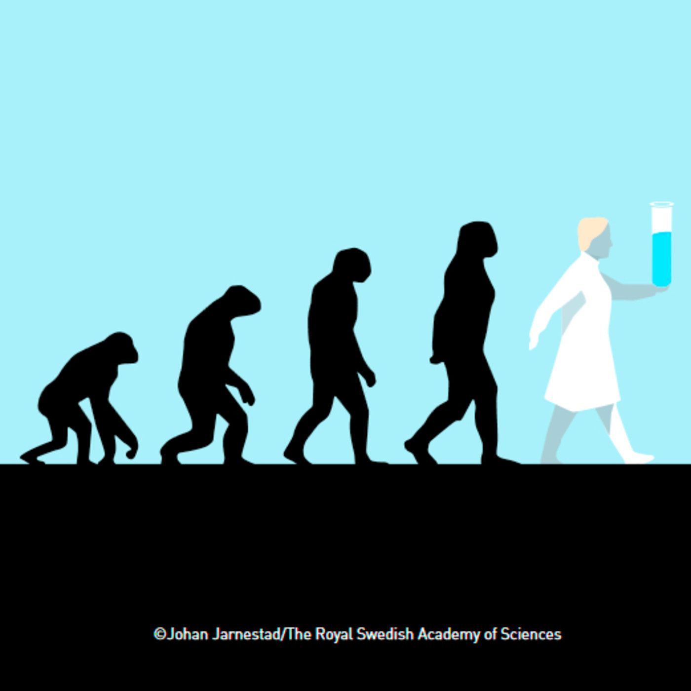 Un Nobel para a evolución dirixida de enzimas, con Miguel Alcalde [Nobel de Química 18] episode artwork