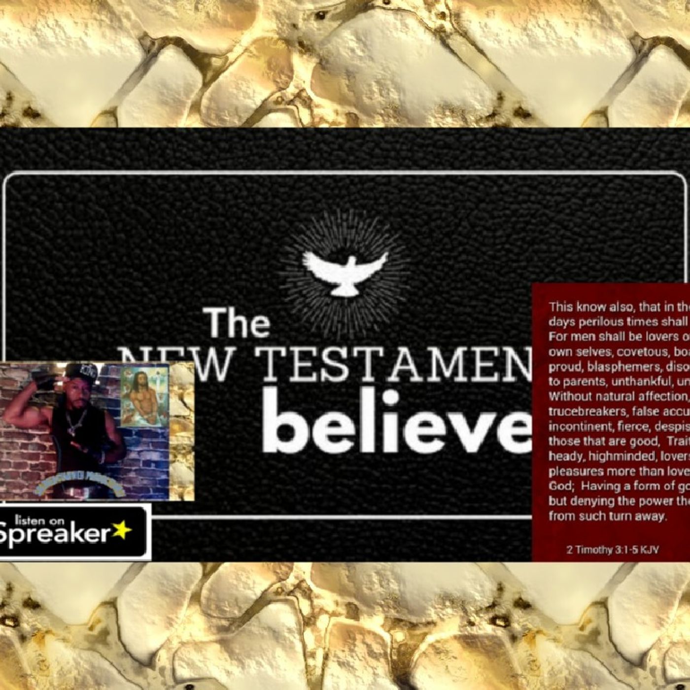 NEW TESTAMENT SERIES:We R in the last days!The LOST r led ASTRAY!(We must gather and wait on YAH) episode artwork