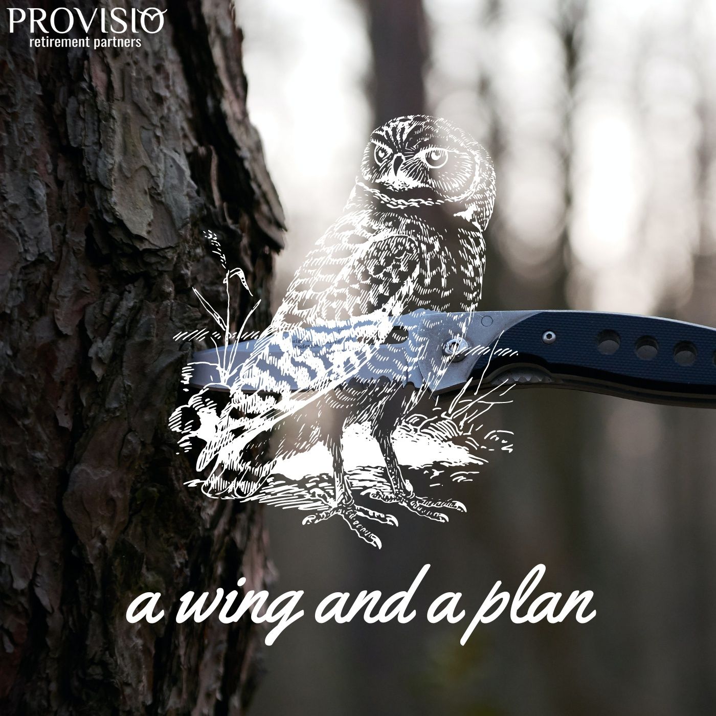 A Wing and a Plan