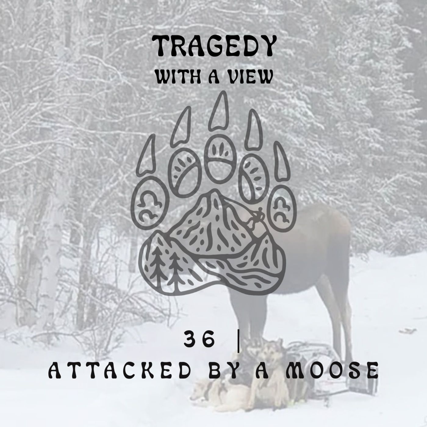 Tragedy with a View
