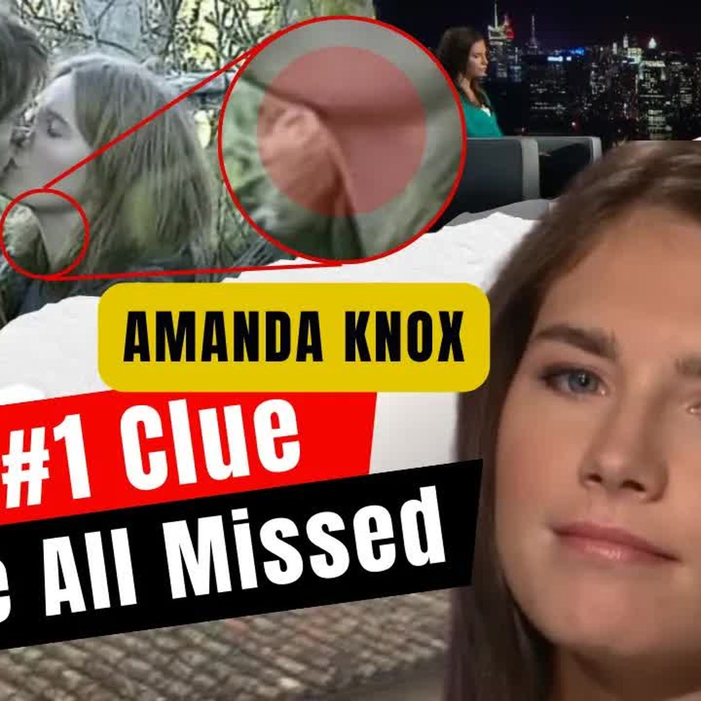 AMANDA KNOX Are we so easily fooled？ episode artwork