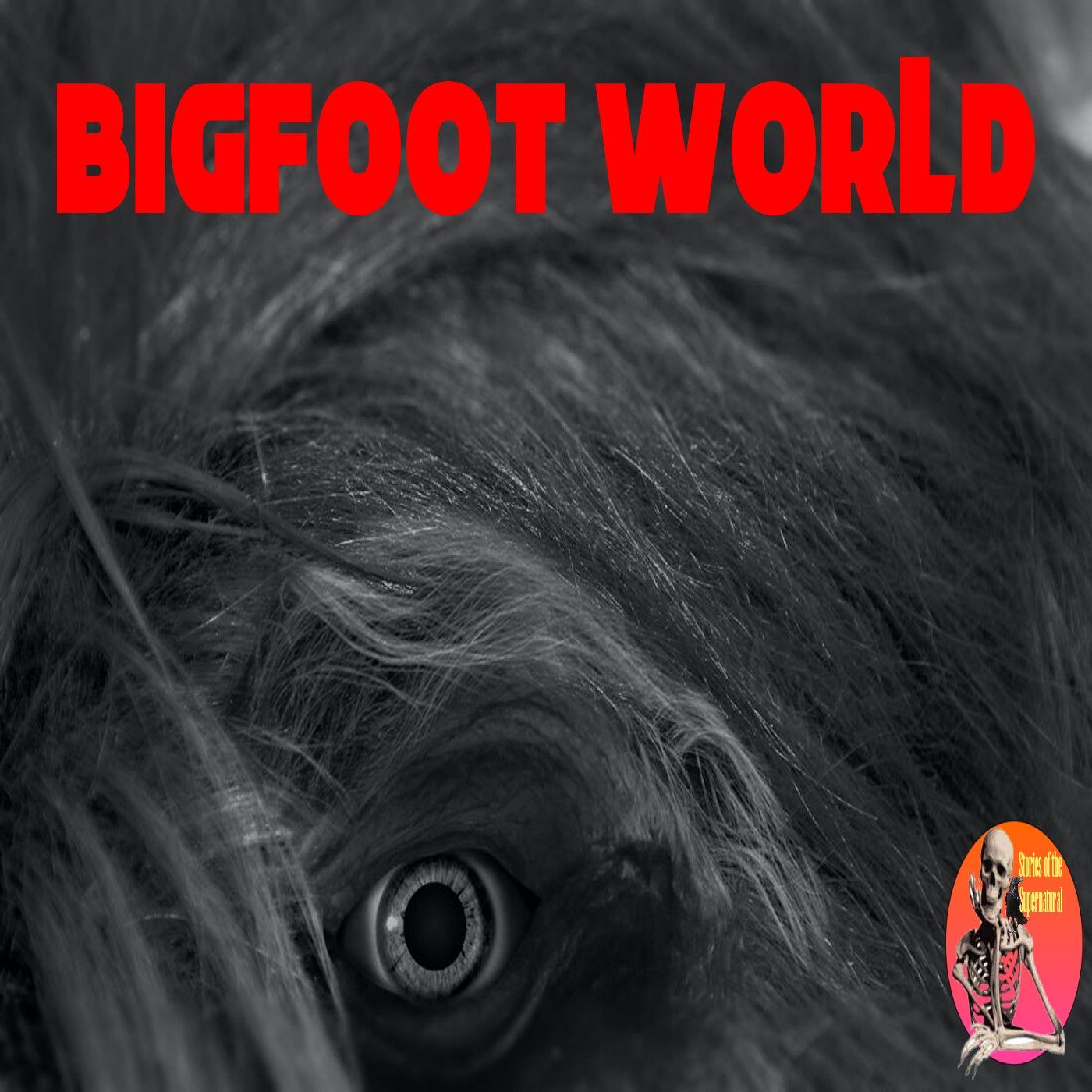 Bigfoot World | Interview with Jill Remensnyder | Podcast