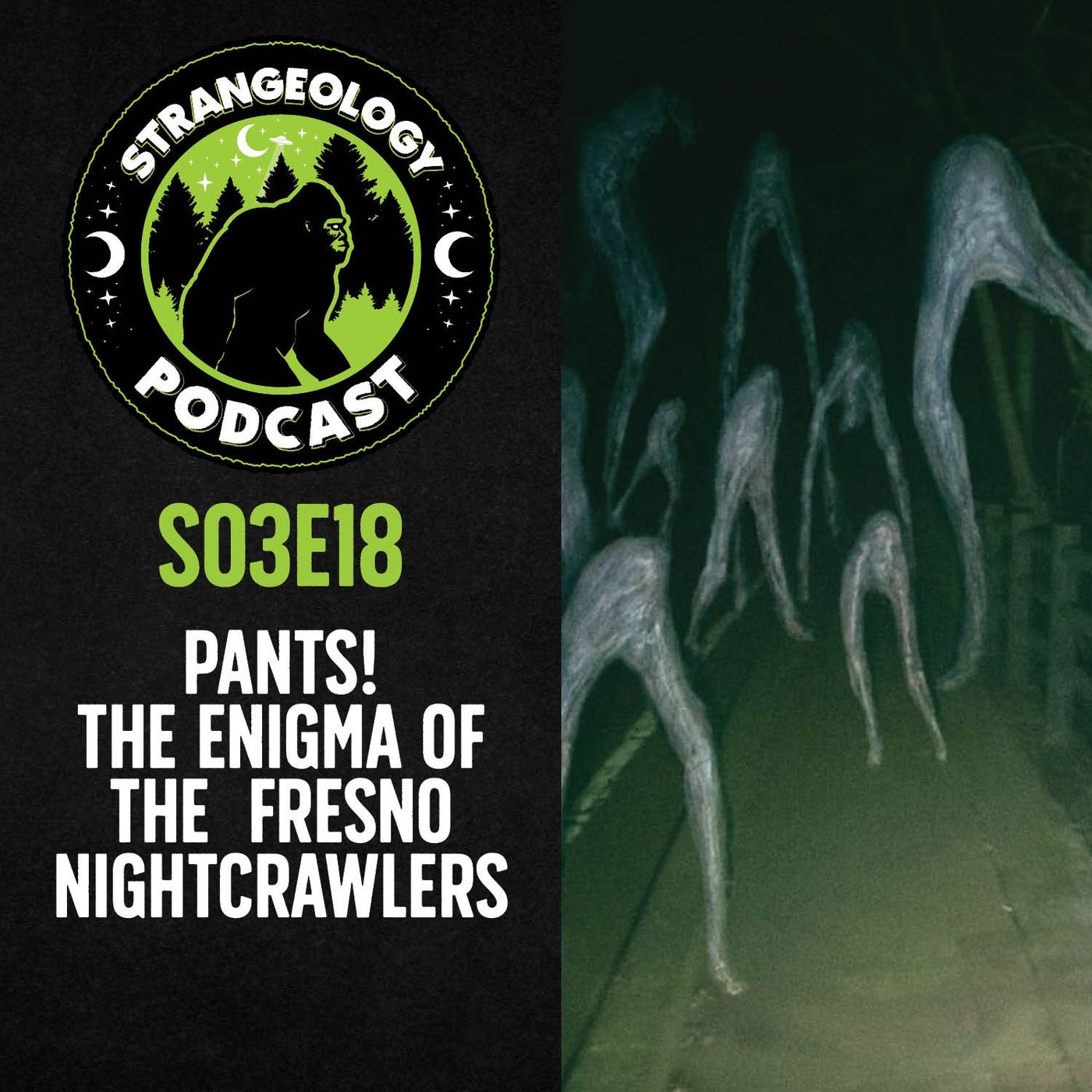 Strangeology Podcast: Exploring the World of Weird