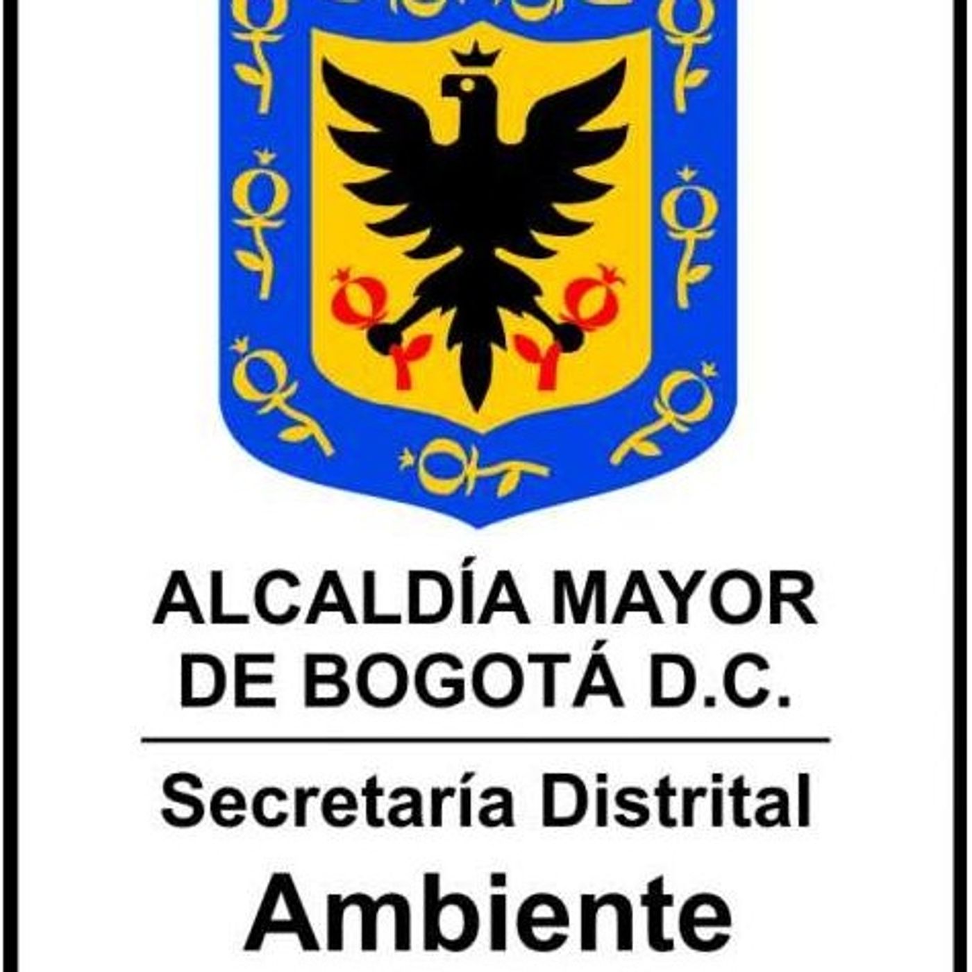 Pistas de Andrea Piñeros