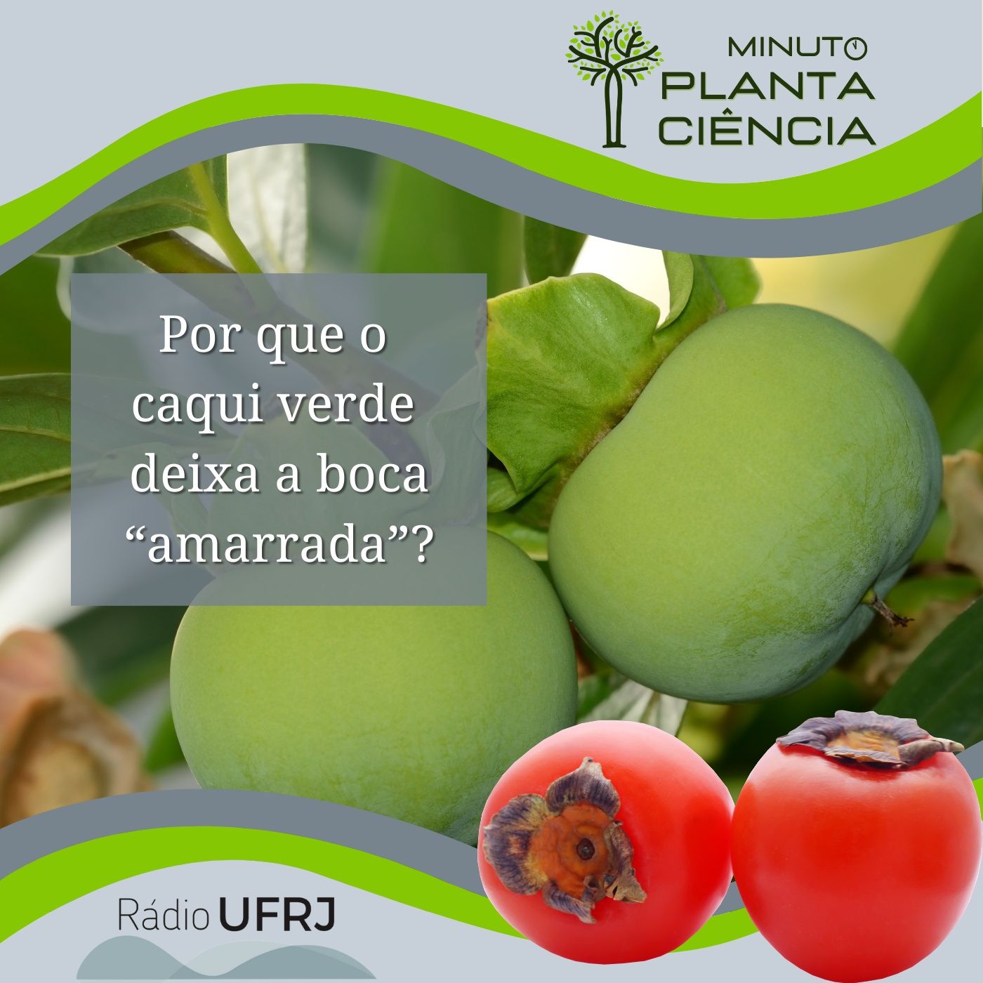 PlantaCiência