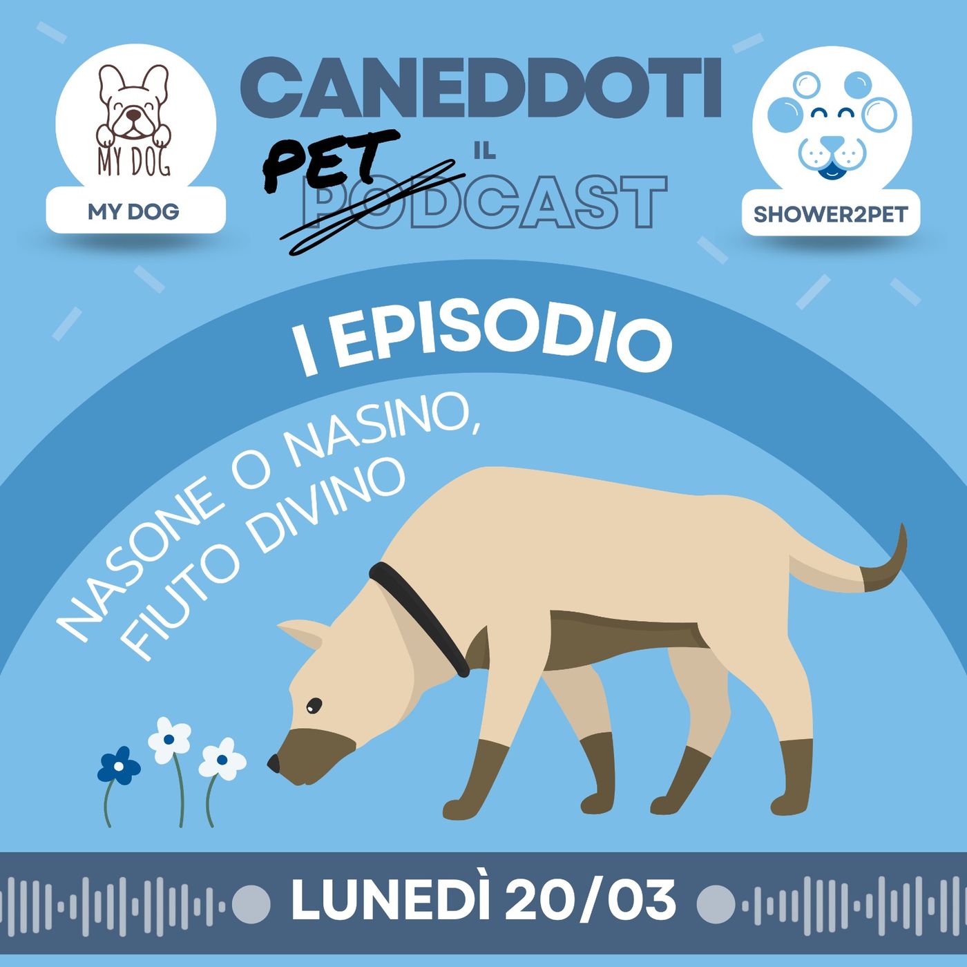 Caneddoti