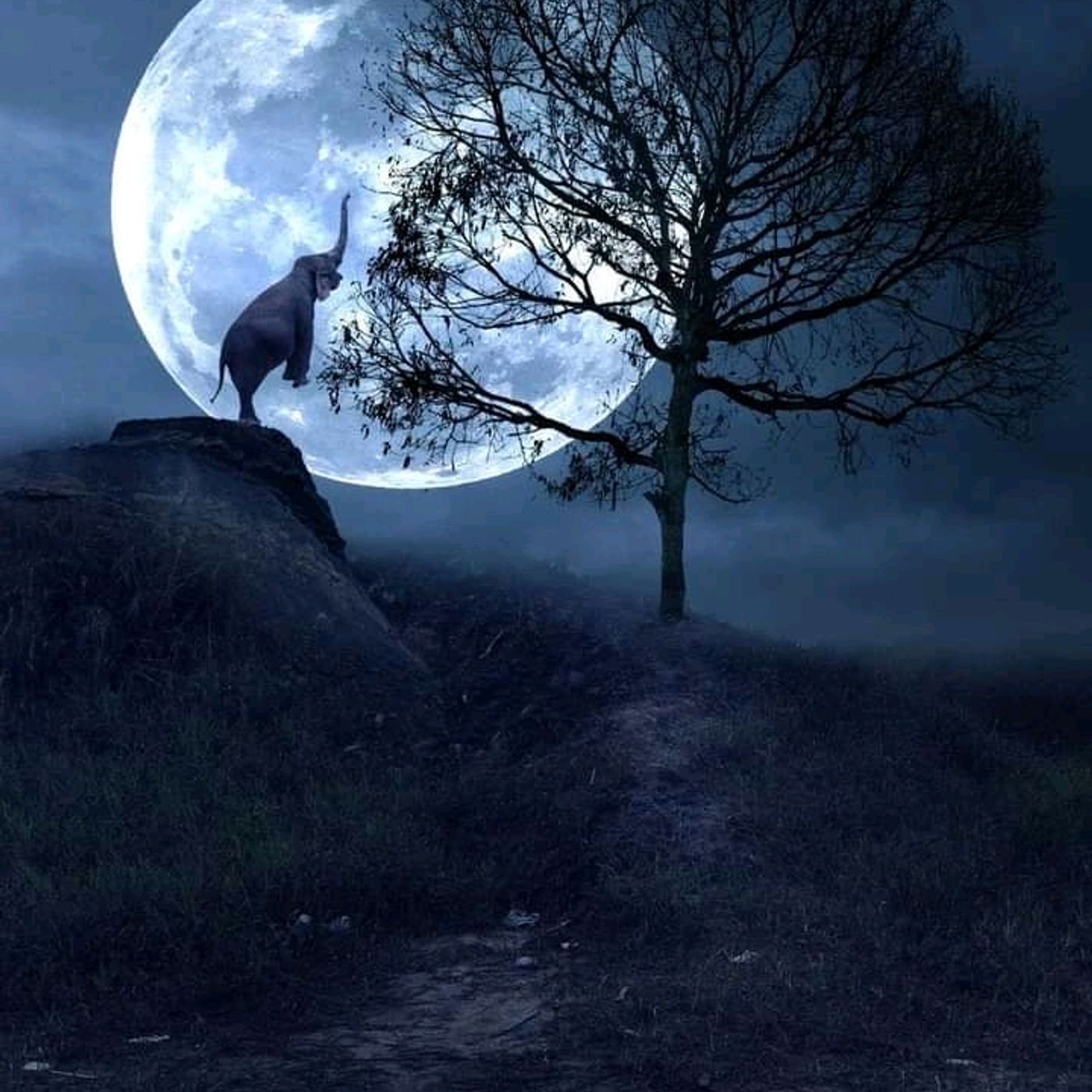 Boomerang Radio Music