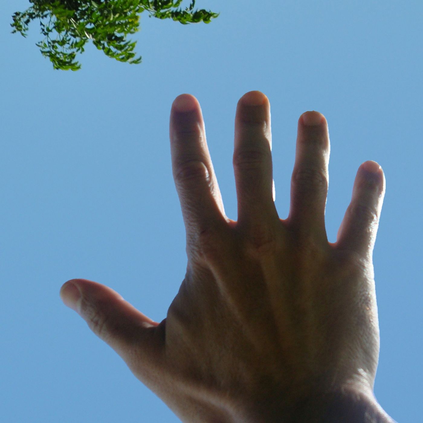 Sanapre - Total Liberación Personal