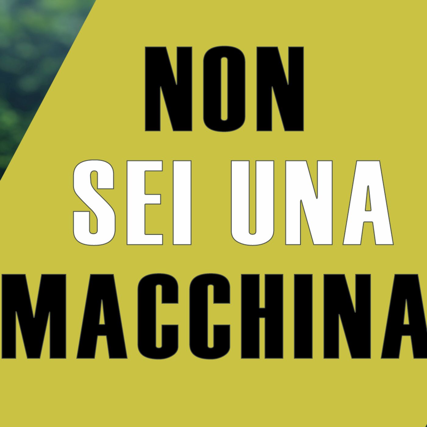 Ritrova la tua reale dimensione ora
