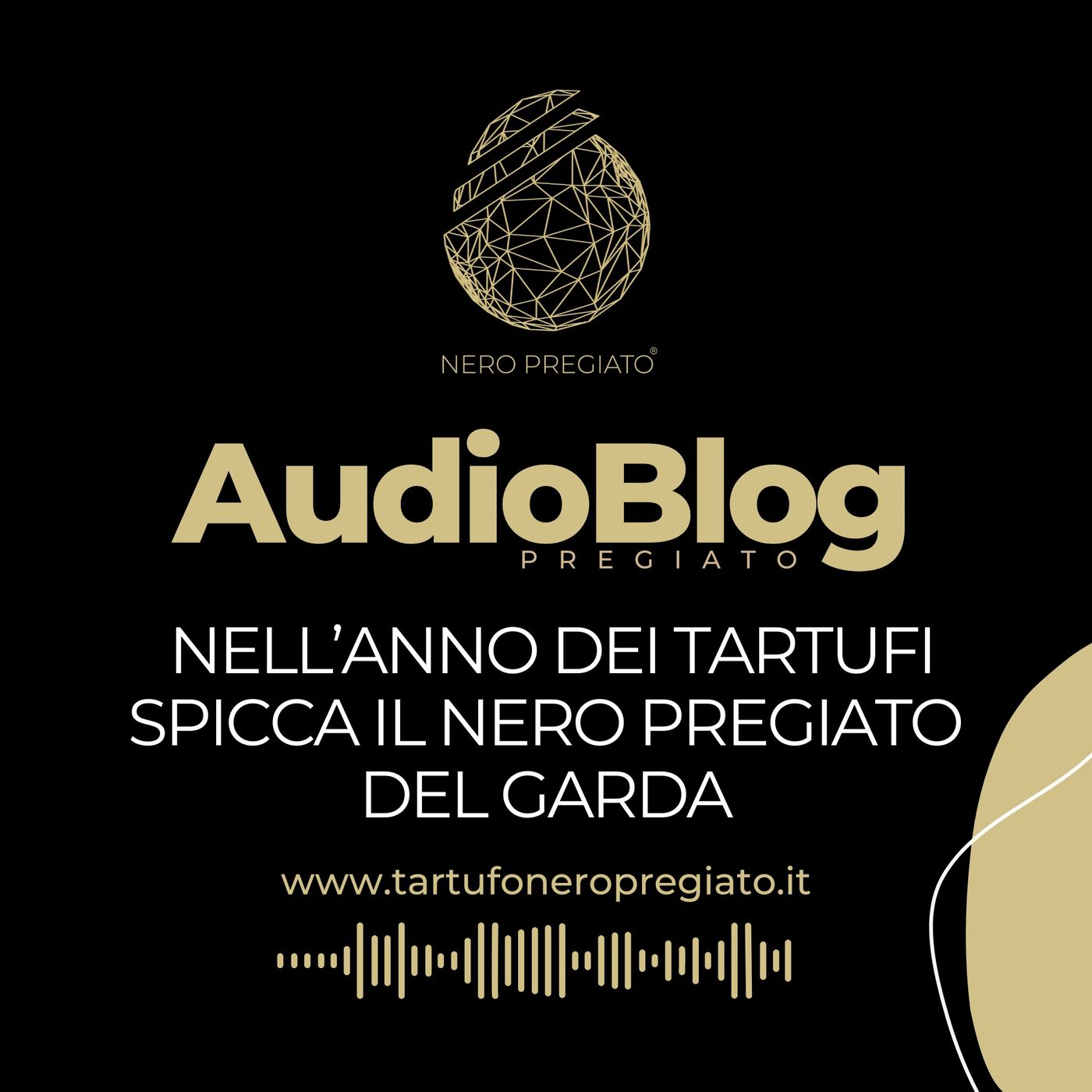 AudioBlog Pregiato