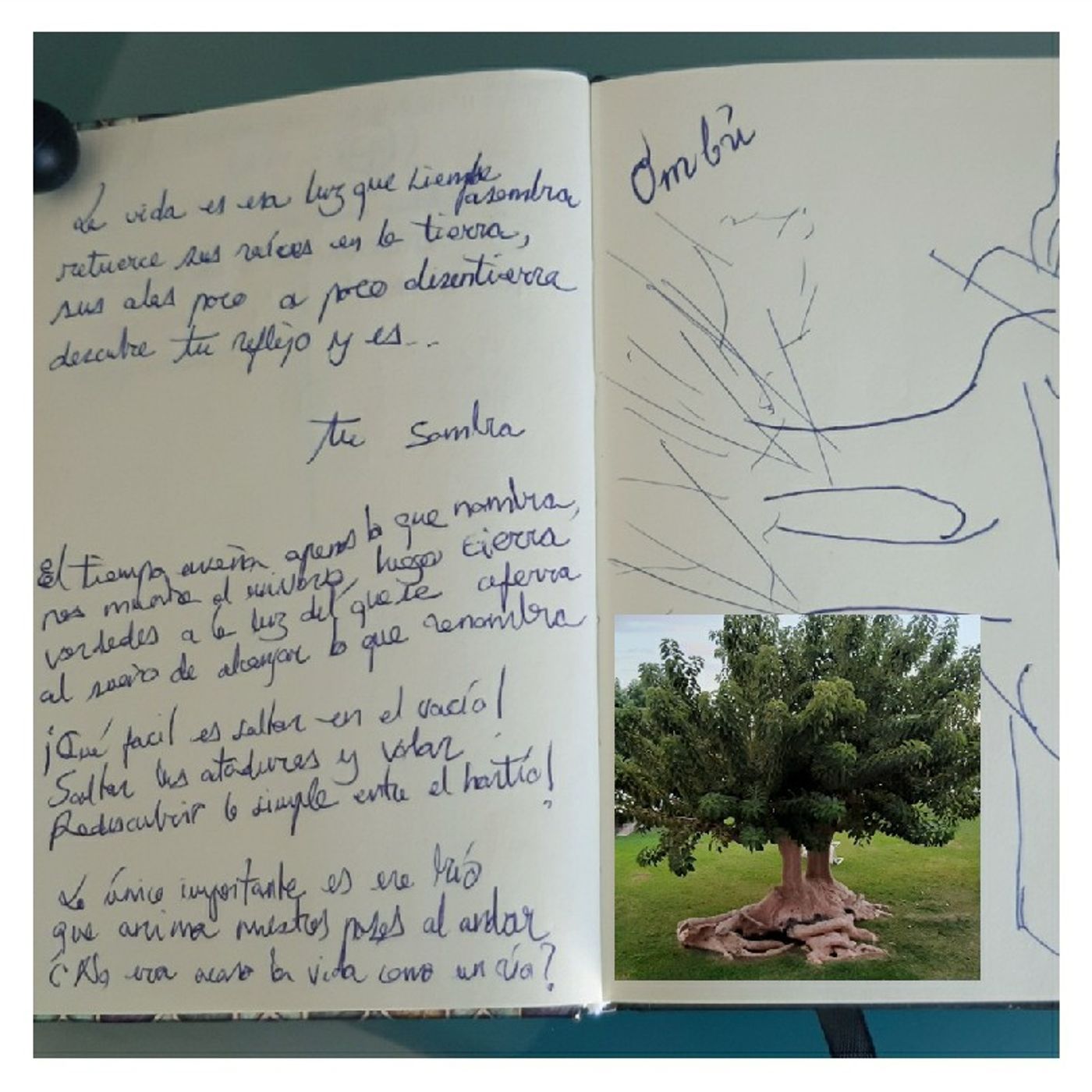 Poesía y Música